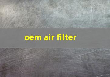  oem air filter